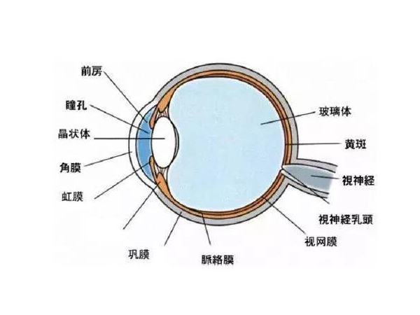 角膜化學(xué)傷應(yīng)該怎么處理